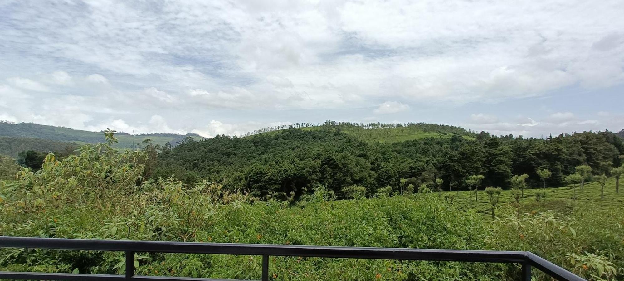 Lush Green View Tea Garden View Holiday home *