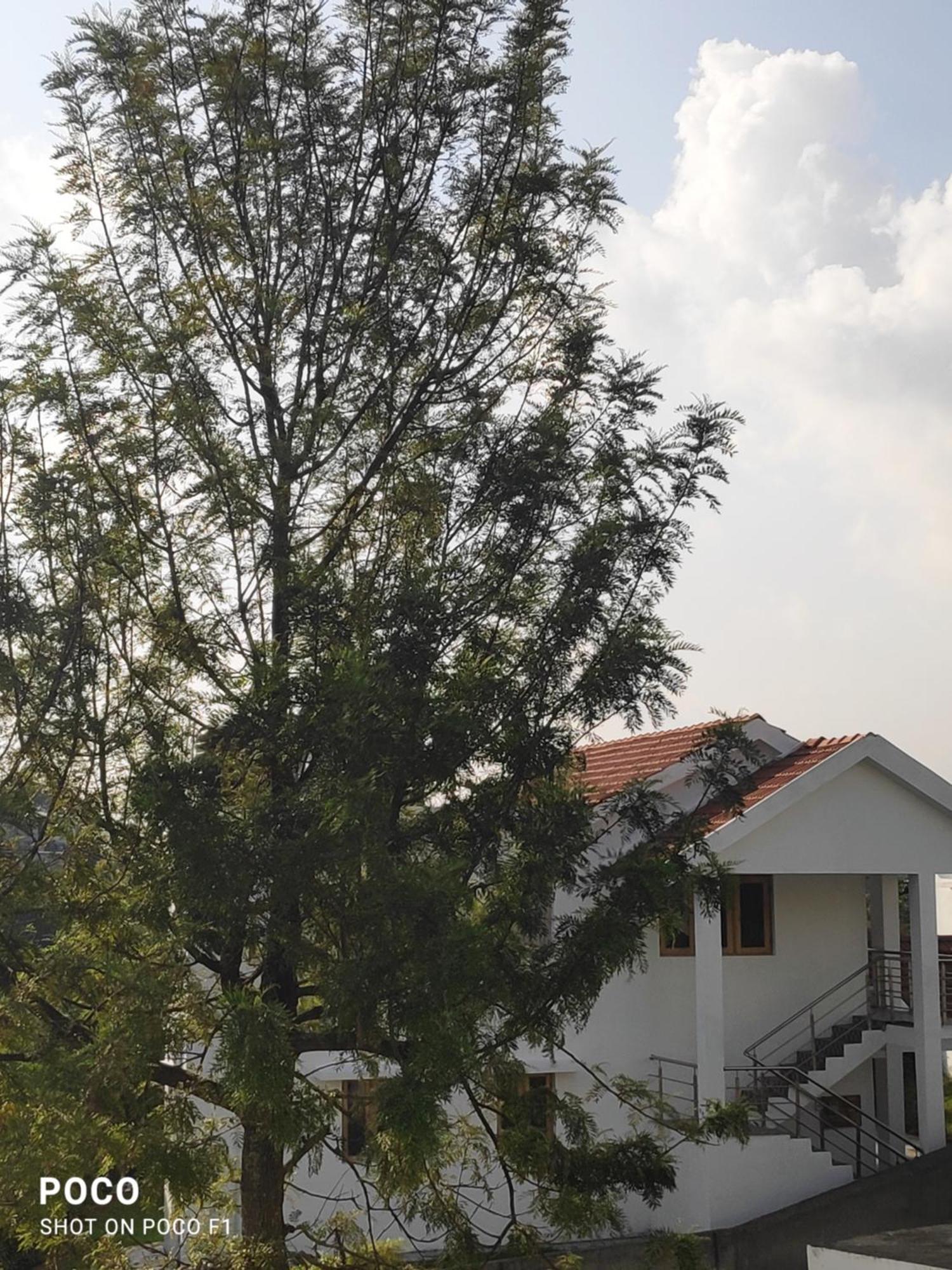 Lush Green View Tea Garden View Holiday home Ooty