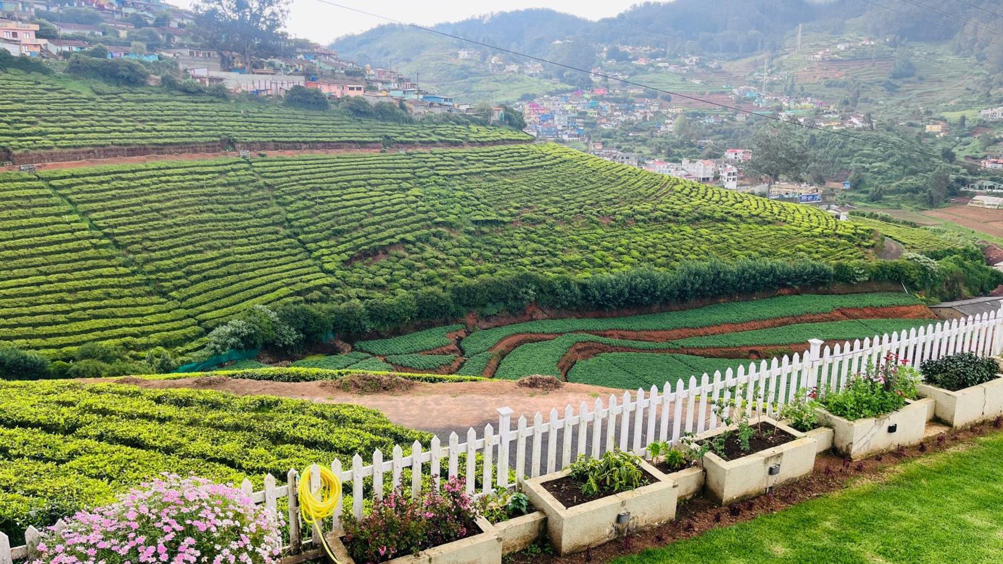 Away From - 5 - In Ooty, * Ooty