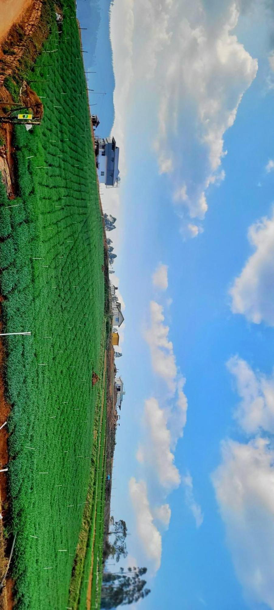 Bed & Breakfast Aj Groups Residency Ooty