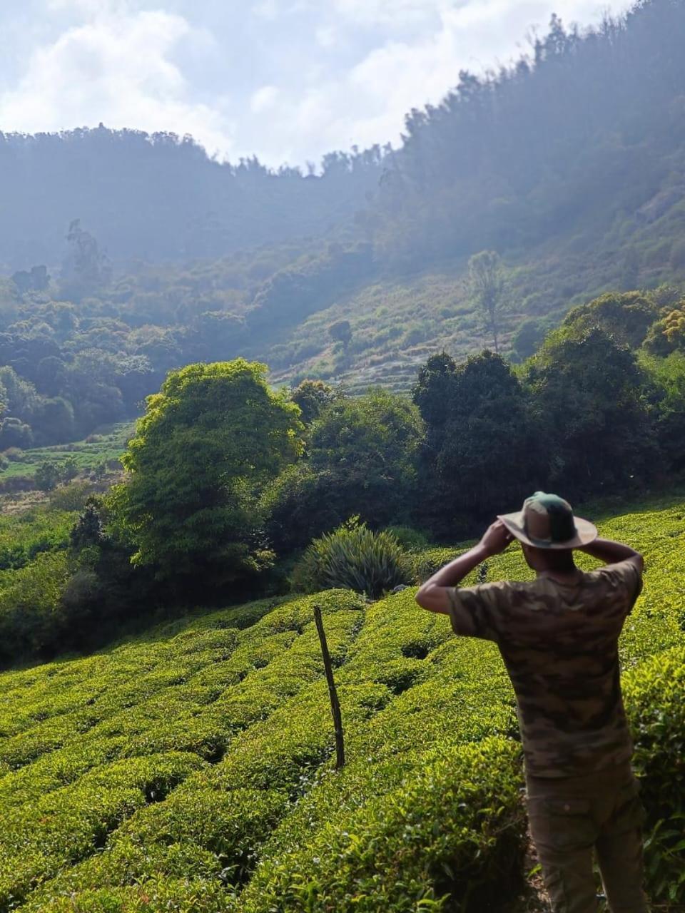 Wild And Free Farm Farm stay Ooty