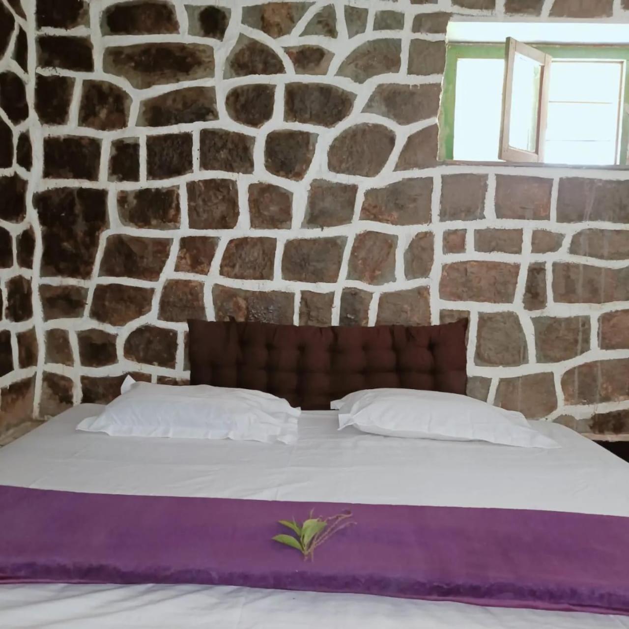 Wild And Free Farm Farm stay