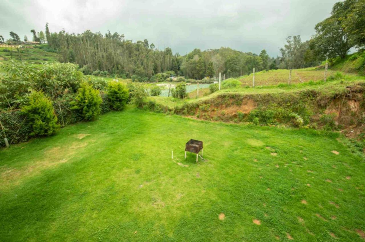 Lazo Silver , 2* Ooty