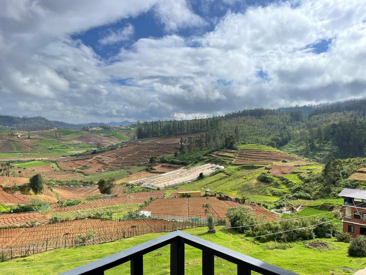 Love hotel Meadow View Ooty
