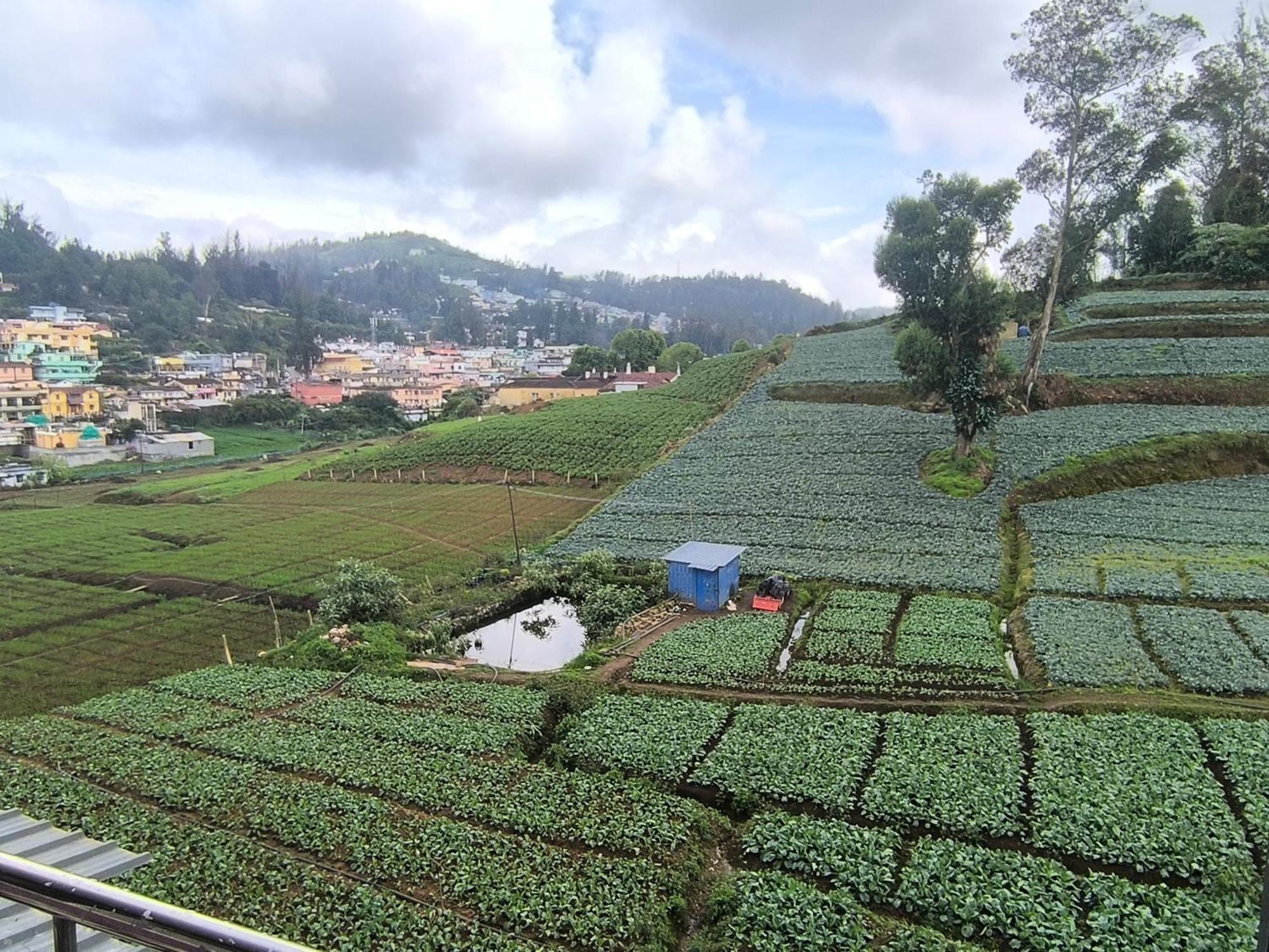 J J Homes Ooty