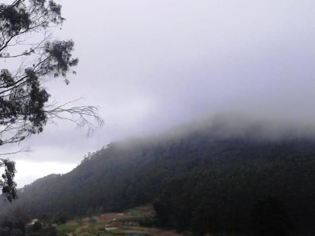 Homestay Bs Dreamz *