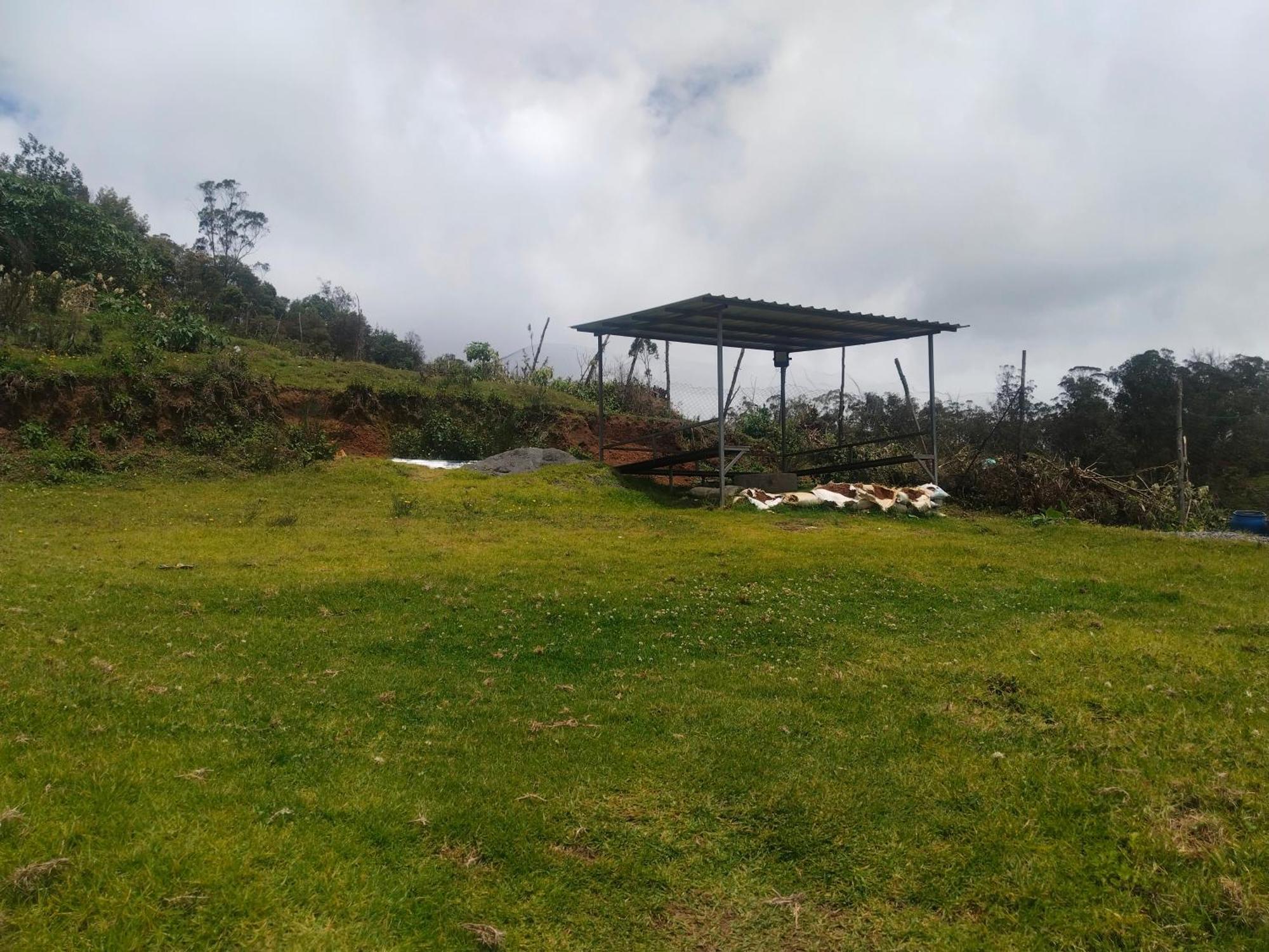 Bs Dreamz Ooty