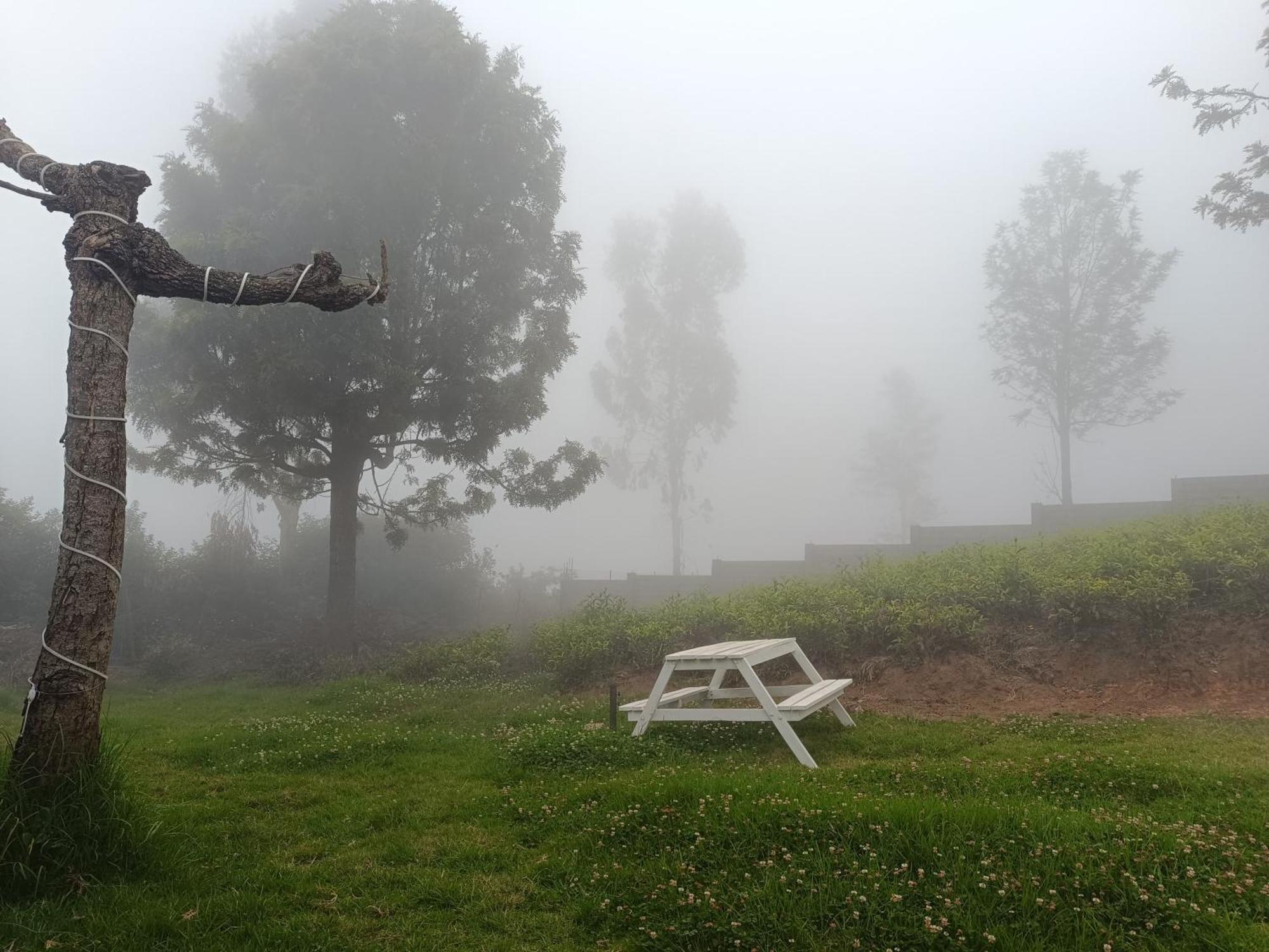 Little Valley * Ooty