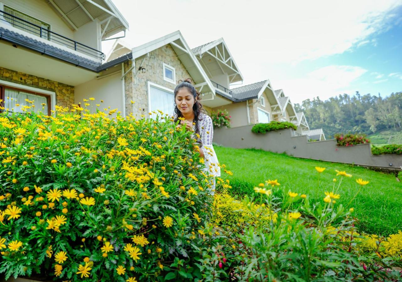 Aj Gable Clouds By Voye Homes - Serene Near Avalanche Emerald Resort *
