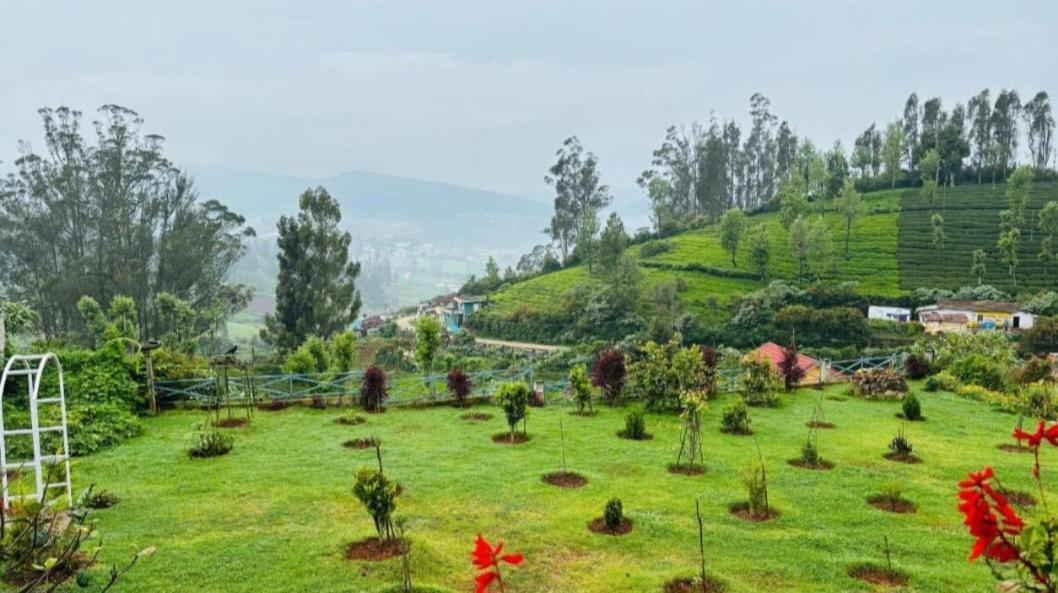 Orchard Valley View