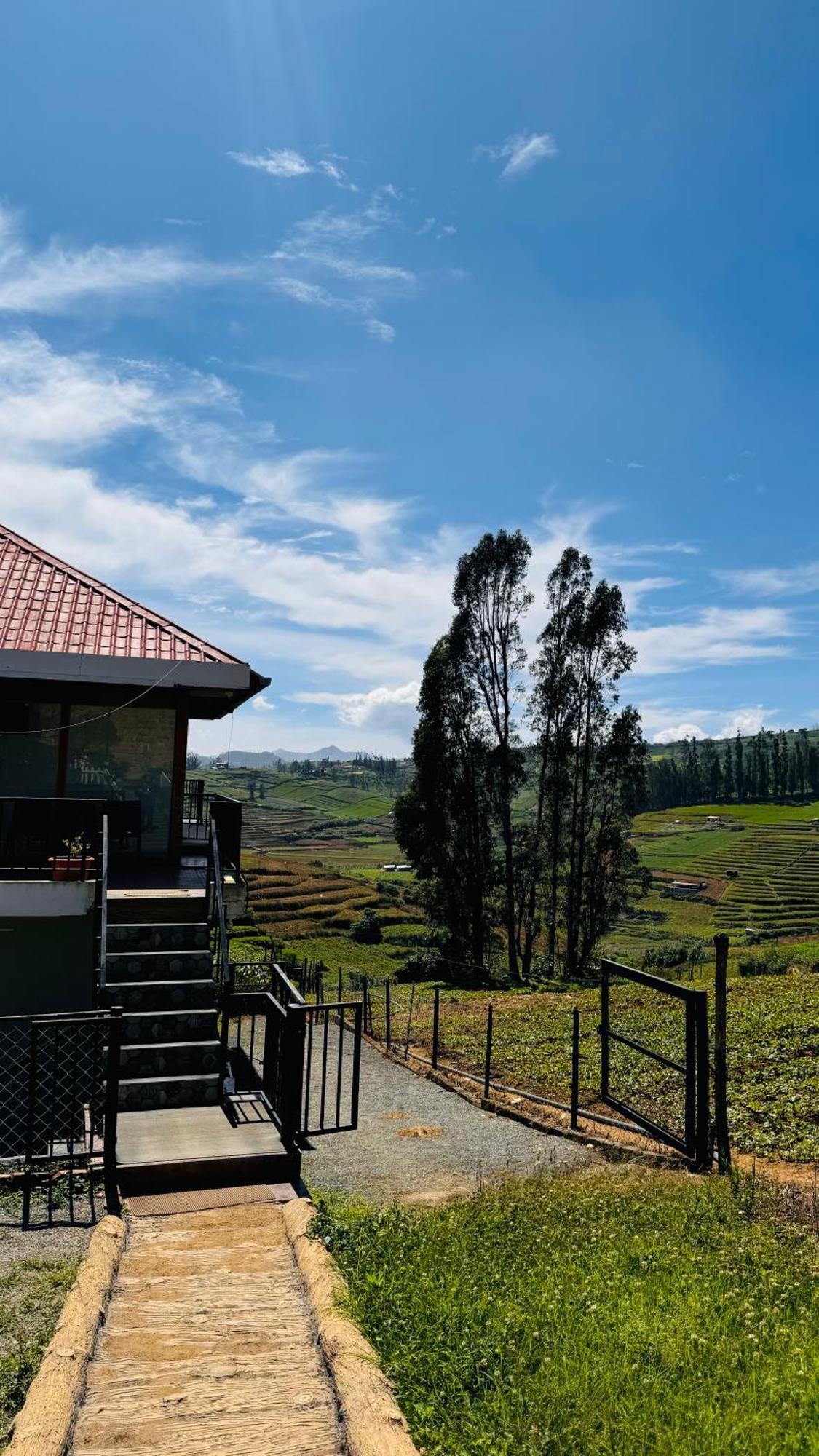 The Wooden Springs * Ooty