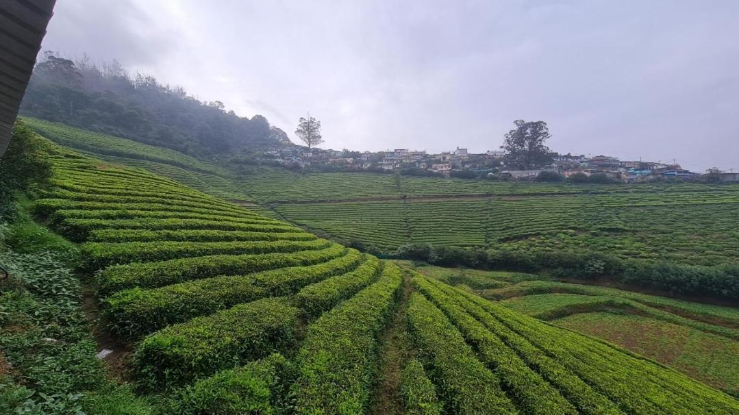 Homestay Sree Sastha
