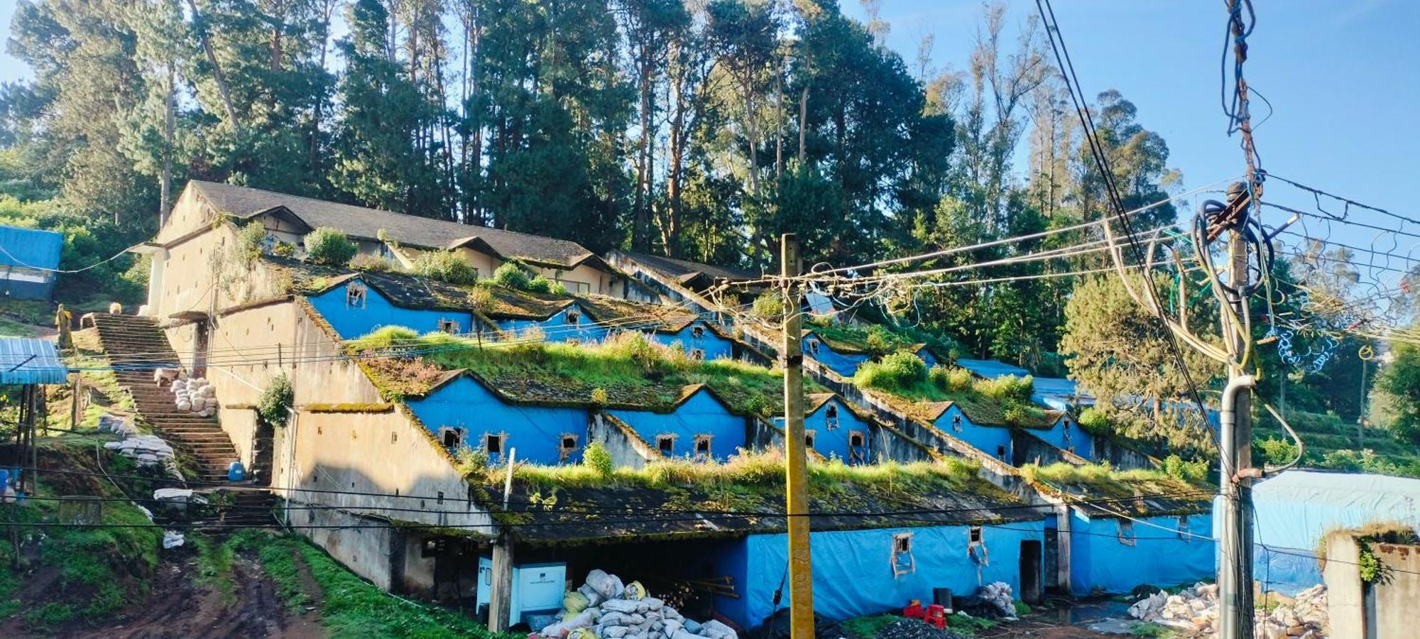 Kmt House Holiday home Ooty