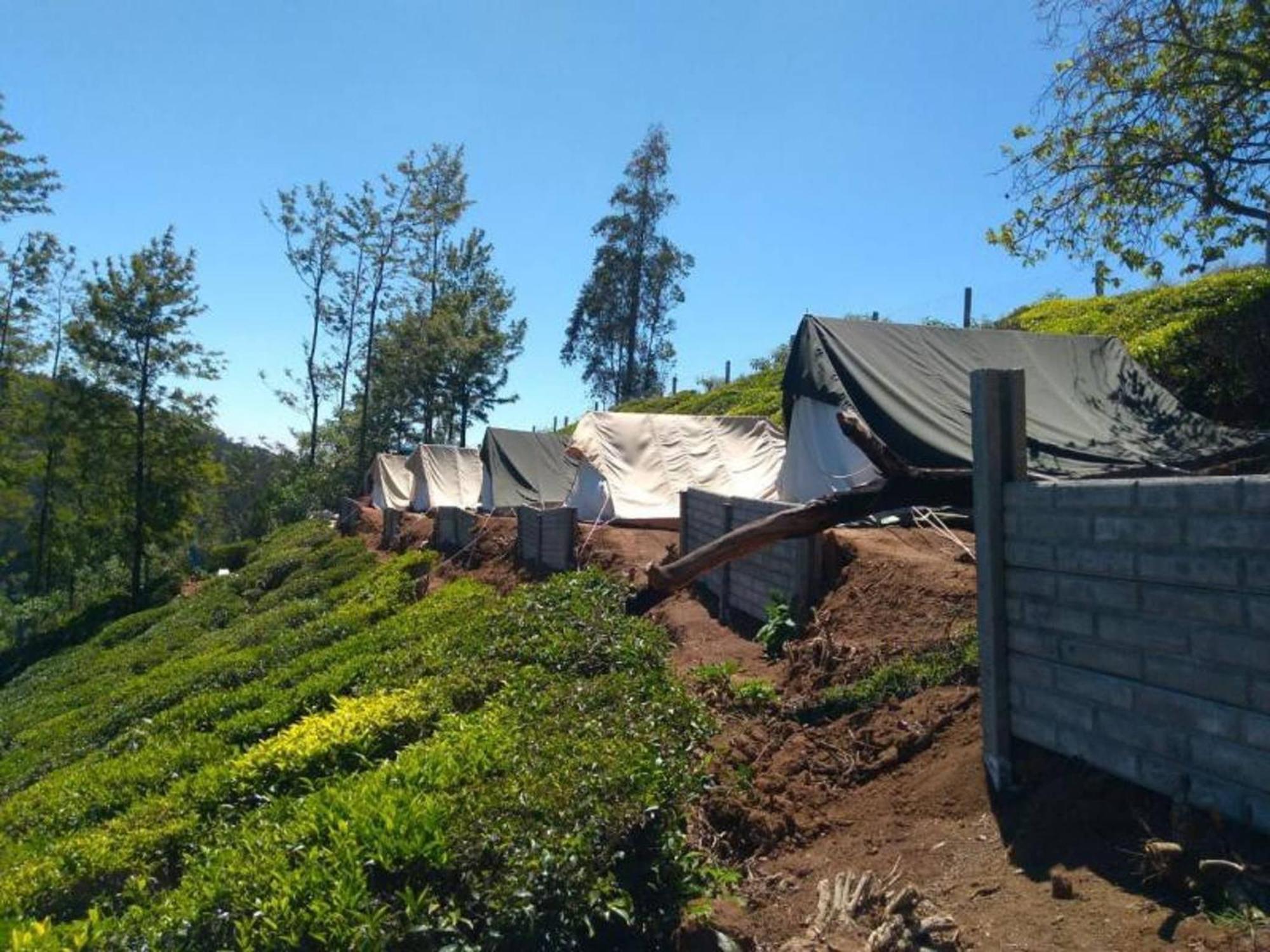 Swiss Tents In Ooty, Tn