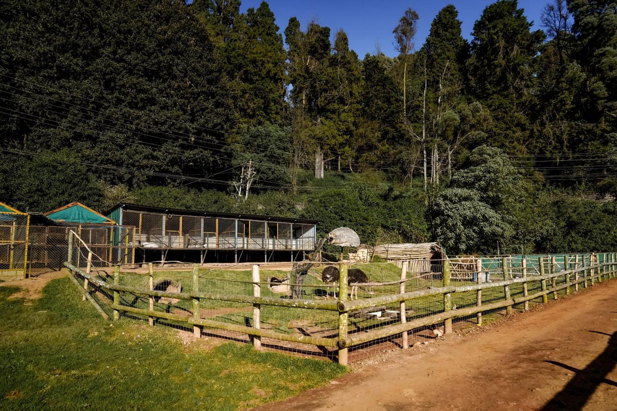 Virgin Valley Leisure Resort
