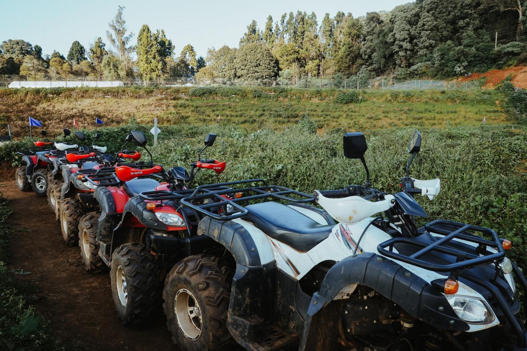 Virgin Valley Leisure * Ooty