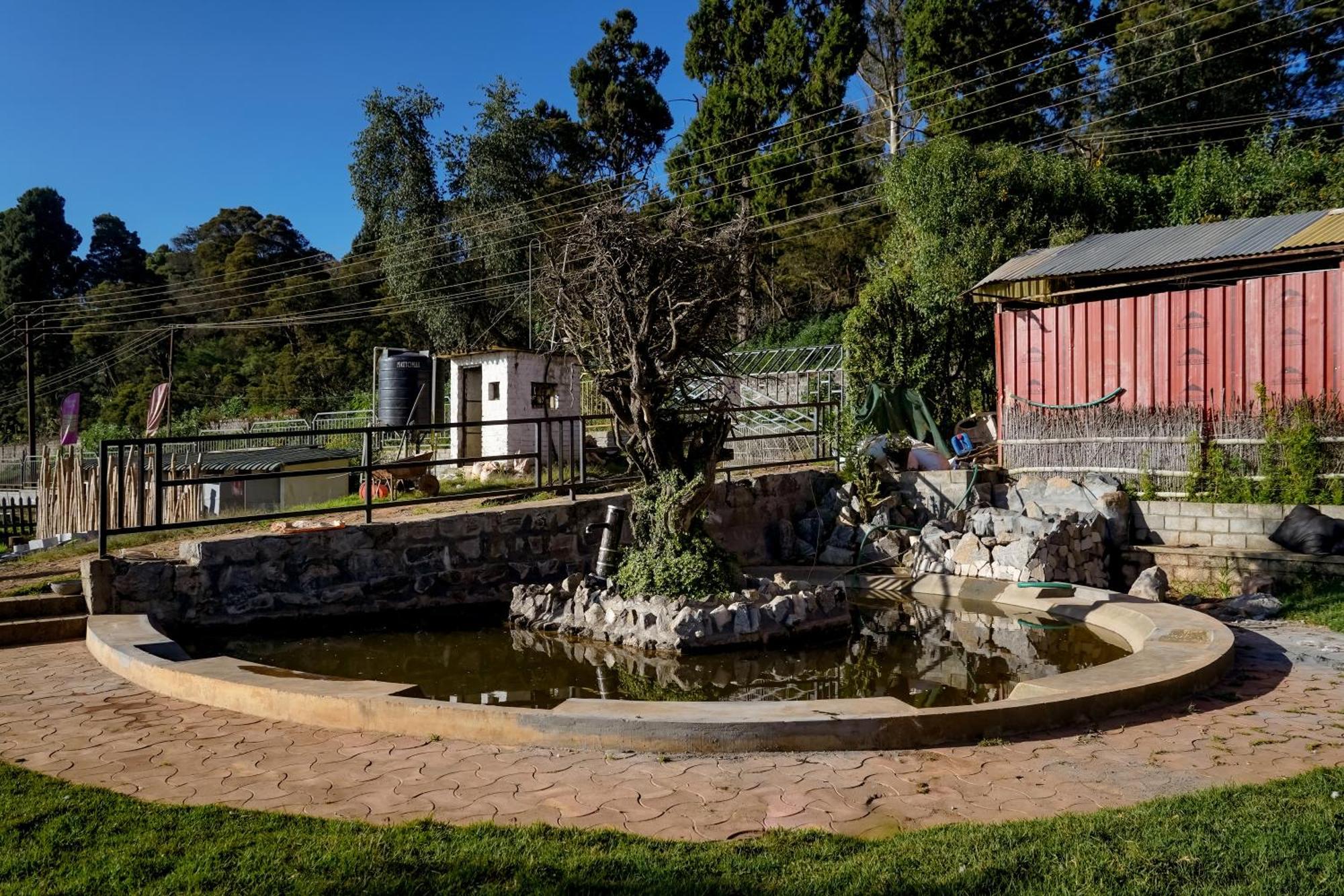 Resort Virgin Valley Leisure Ooty