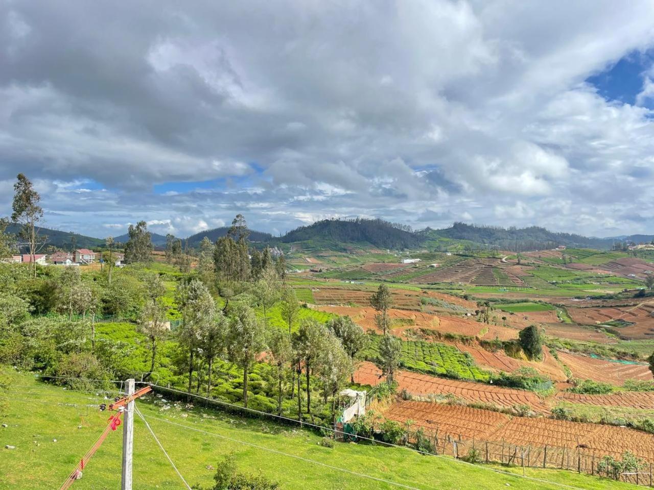 Meadow View