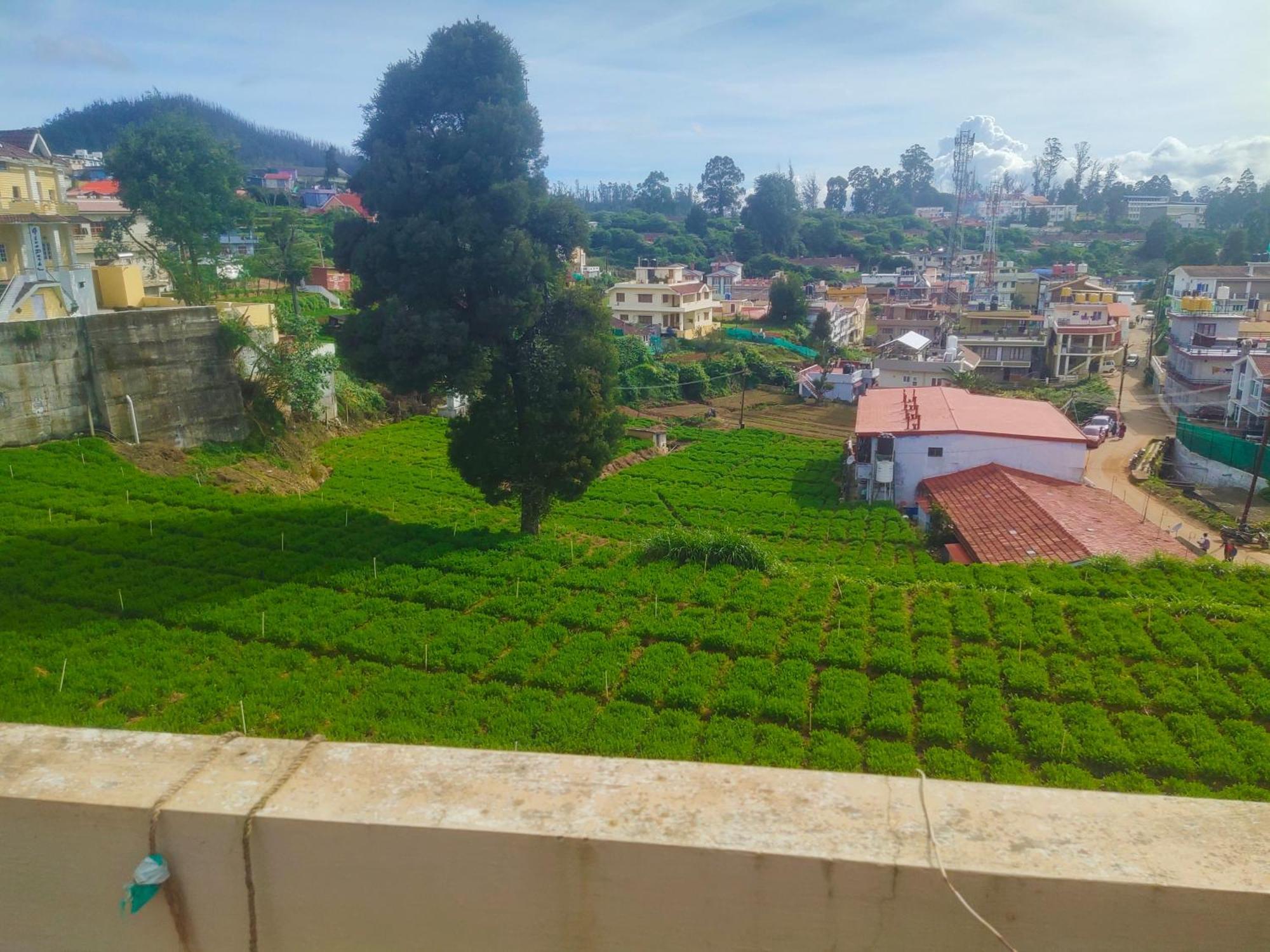 Villa Mountain Ooty
