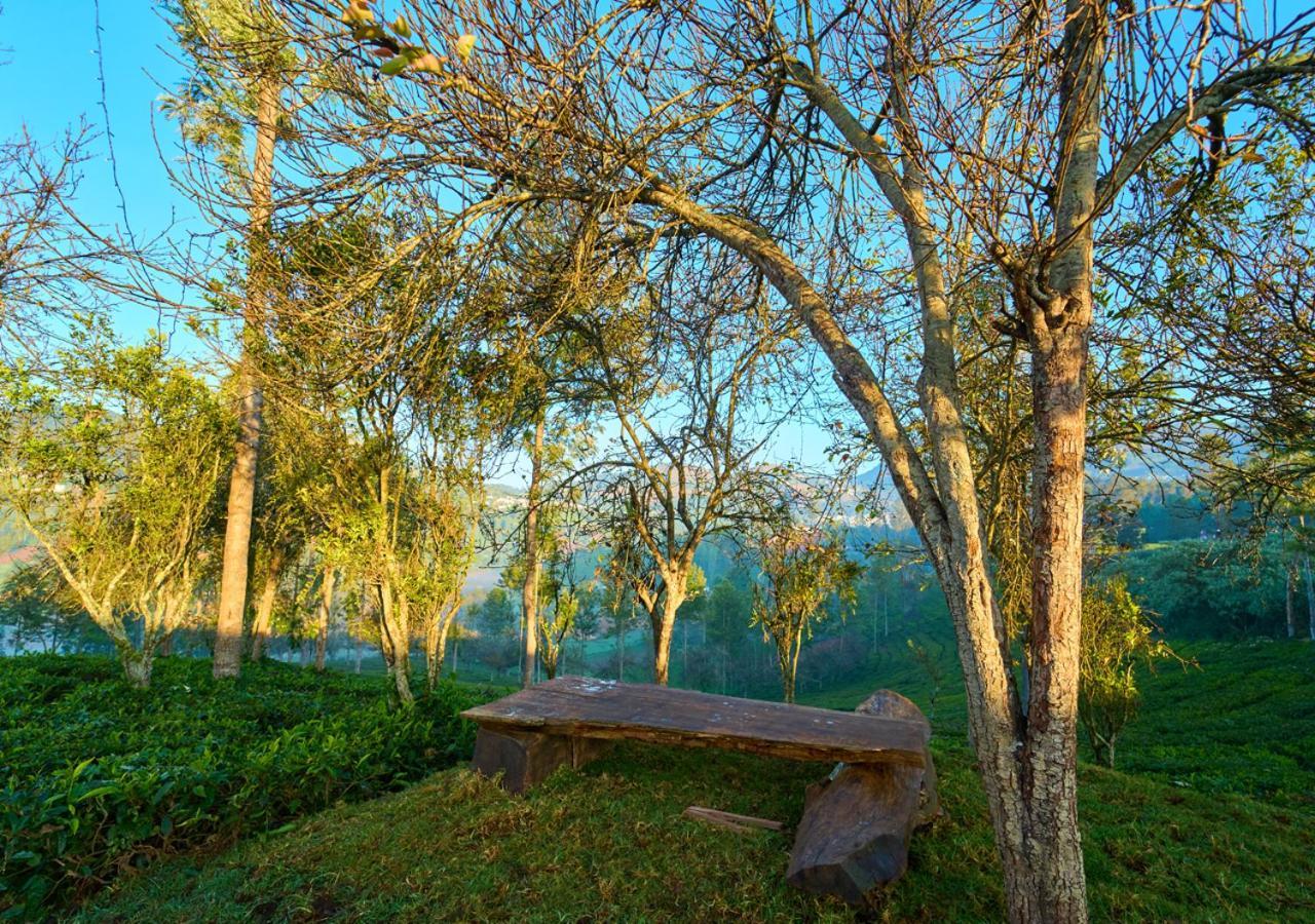 Farm stay Silver Dale Tea Estate By Voye Homes