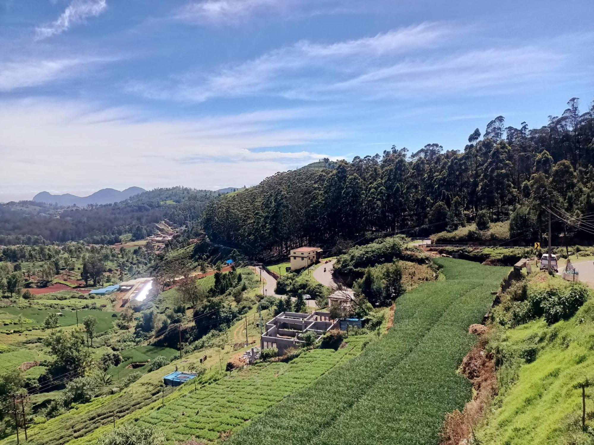Valley Homes Homestay *