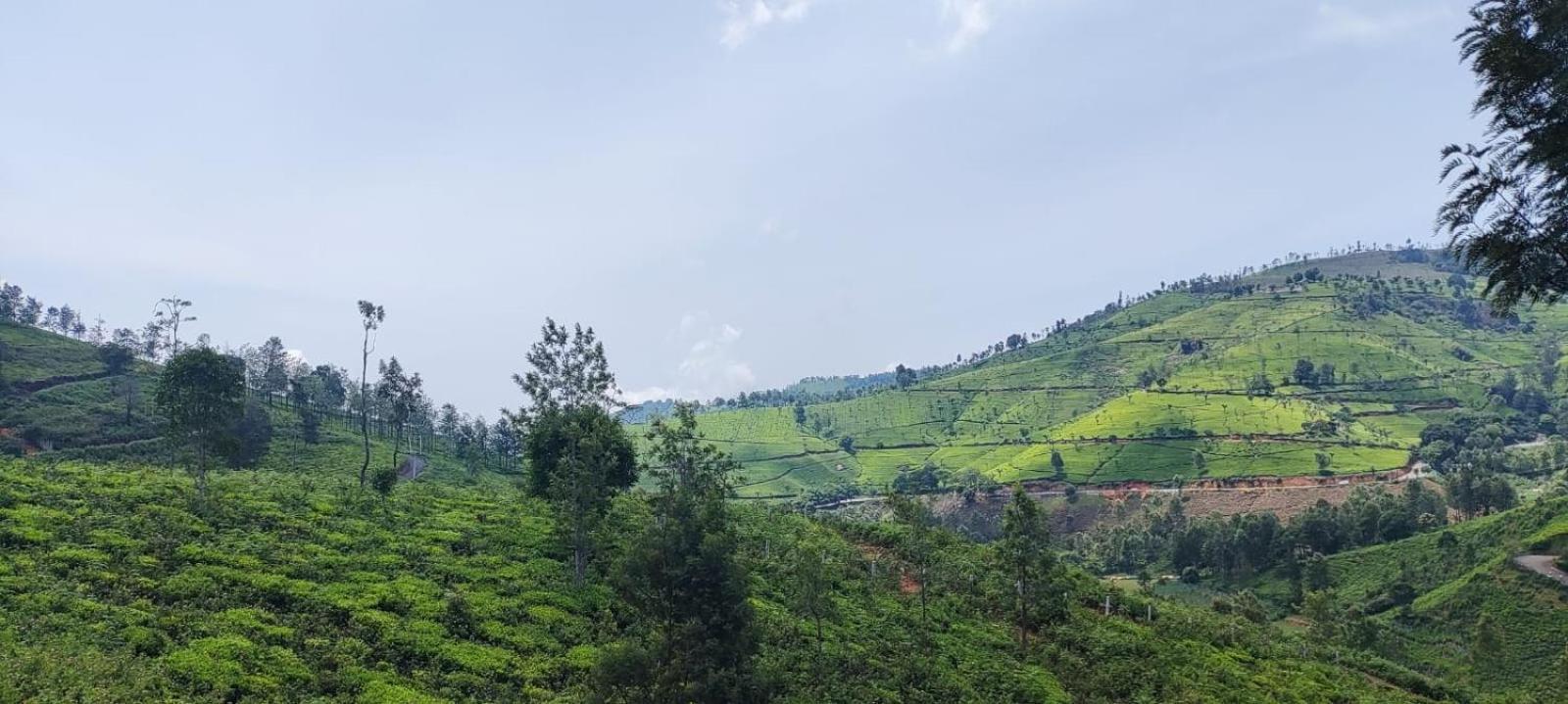 Sandy 4 Bhk - Only Adults Allowed Ooty