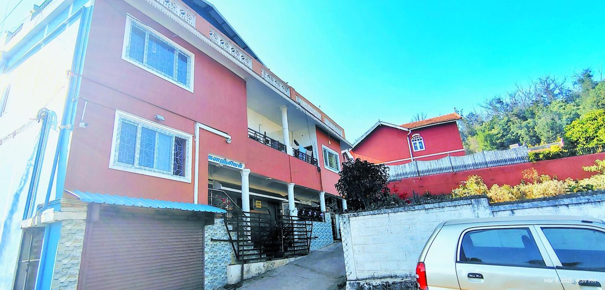 Piper Ooty