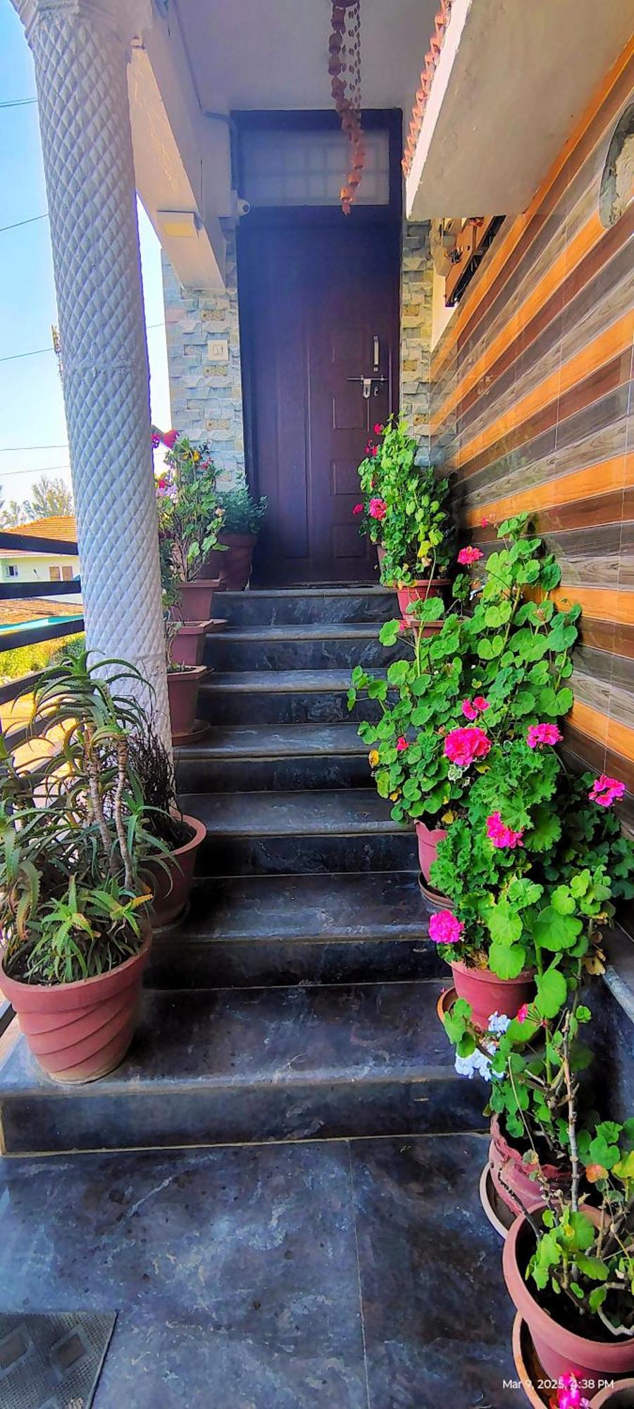 Piper Hotel Ooty