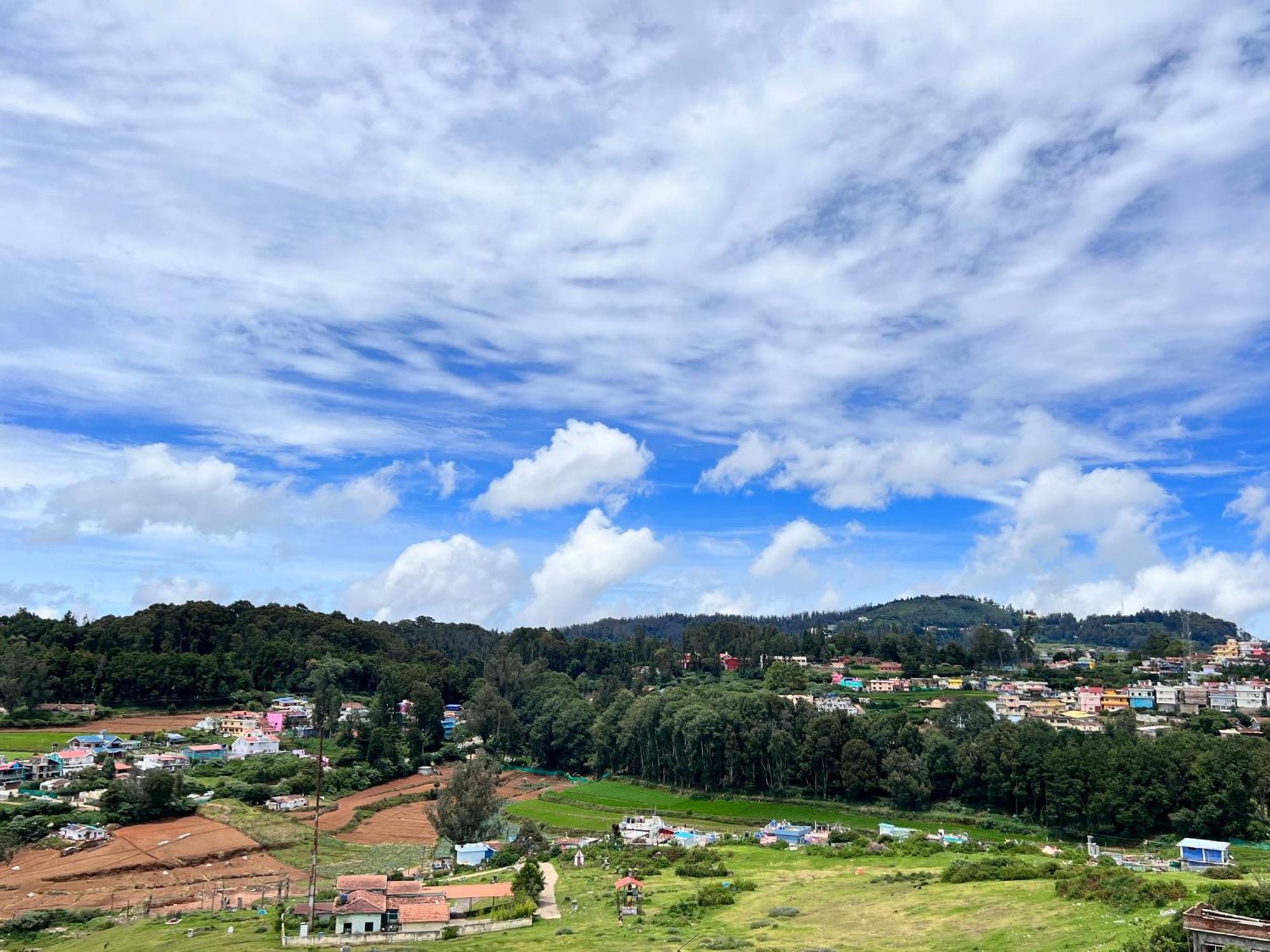 Golden View *