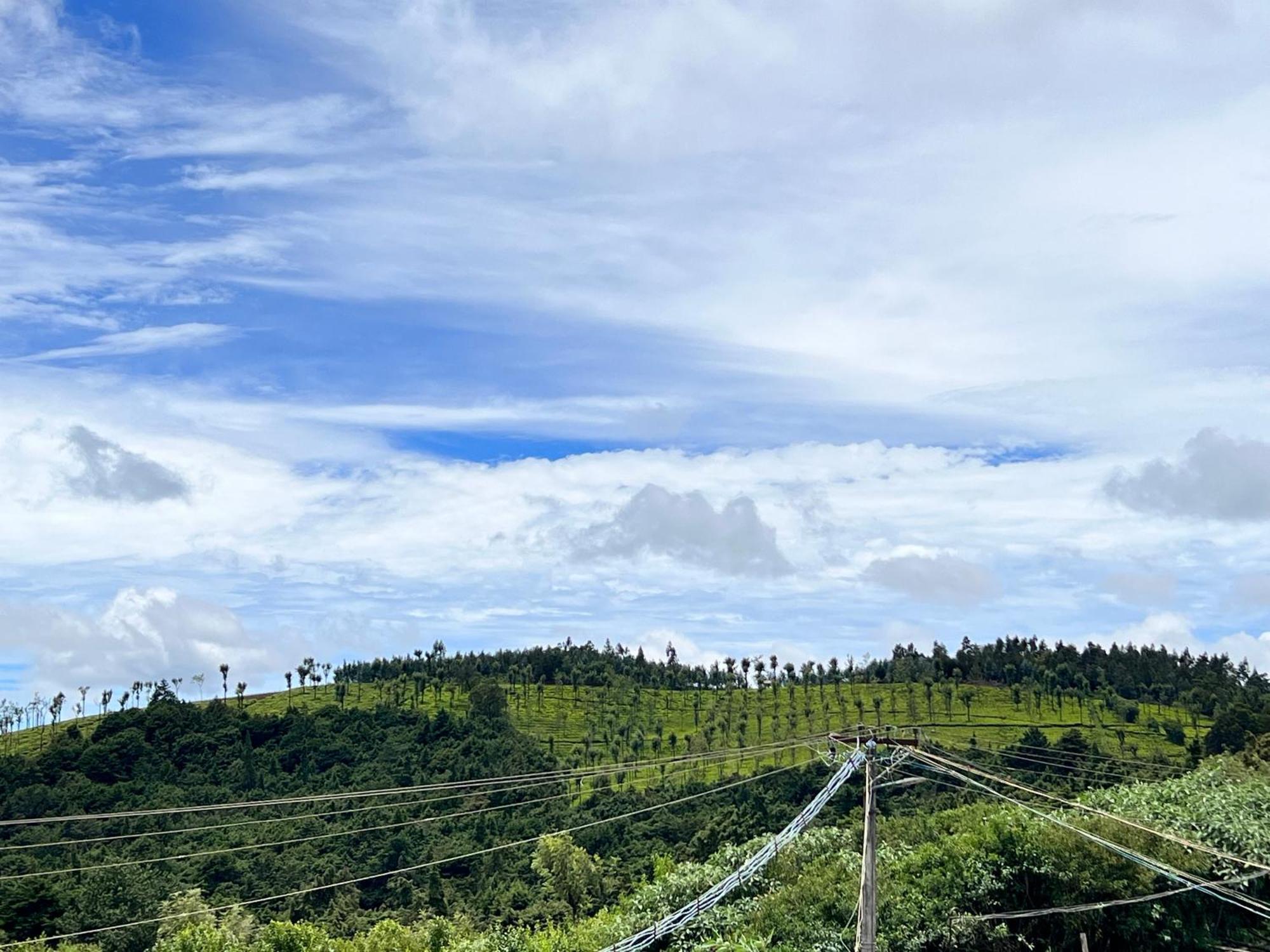 Homestay Golden View *
