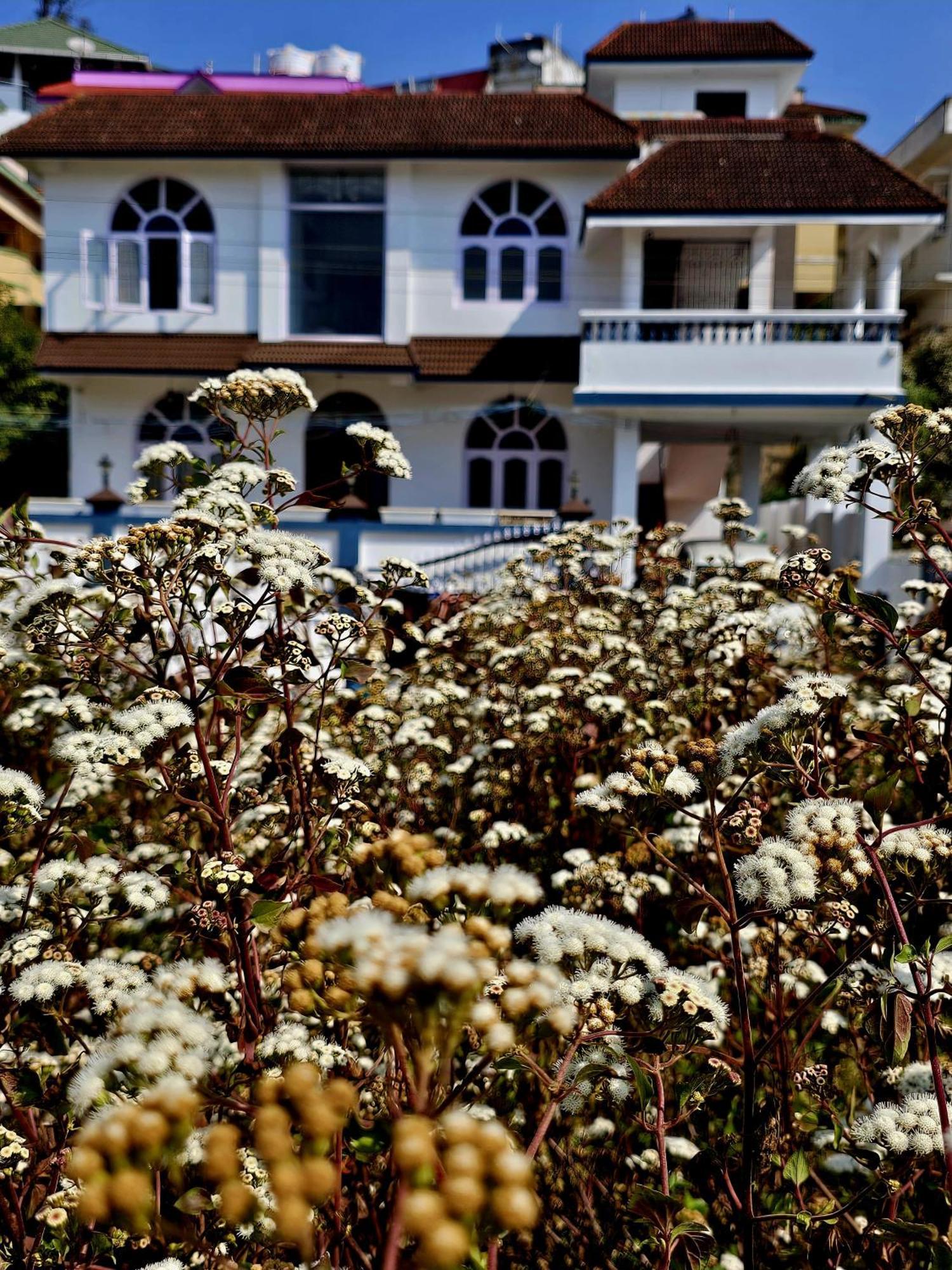 Hestia 3bhk