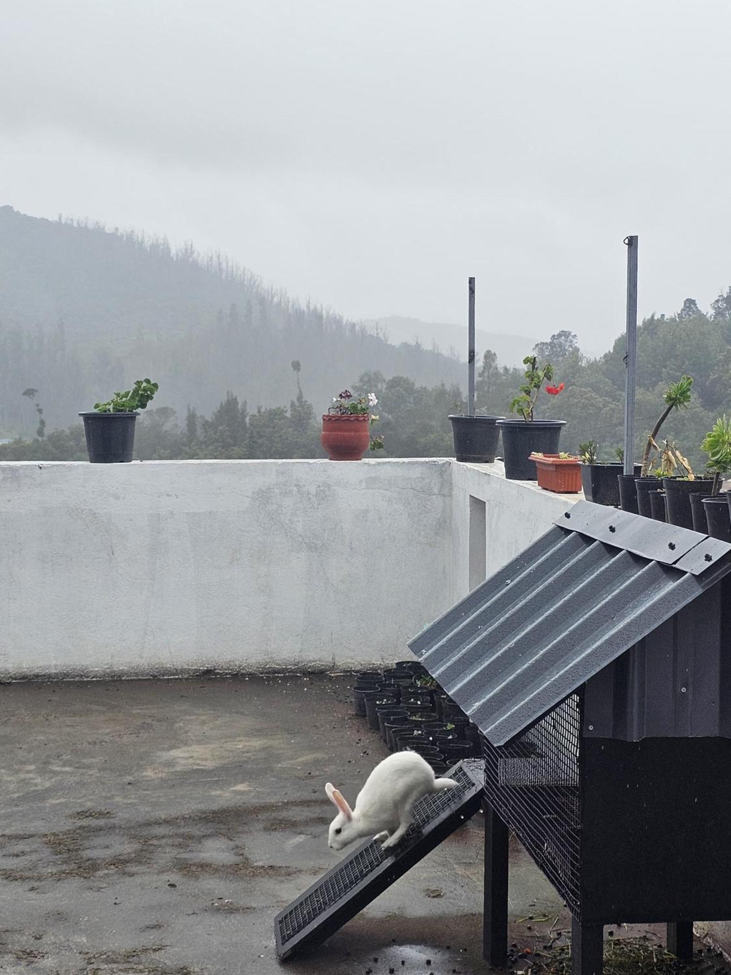 Hestia 3bhk Apartment Ooty
