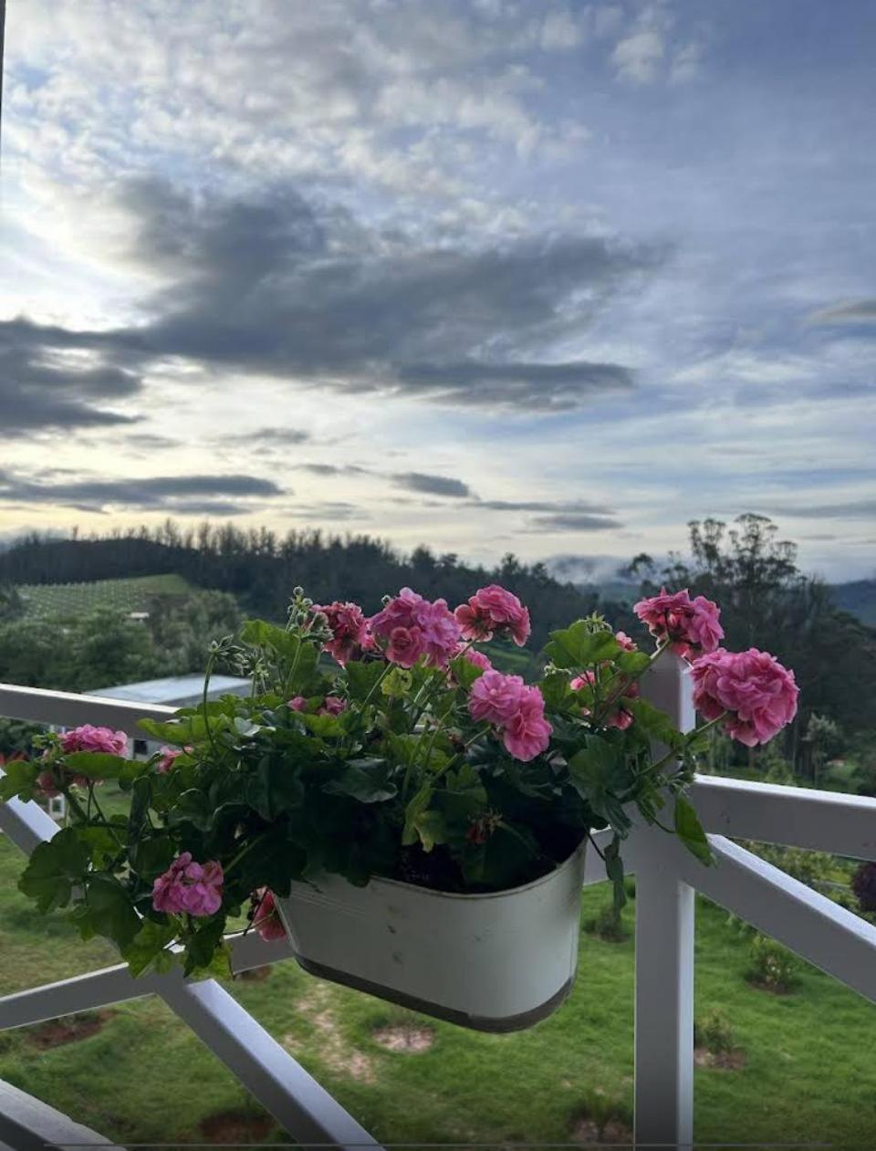 Homestay Orchard Valley View *