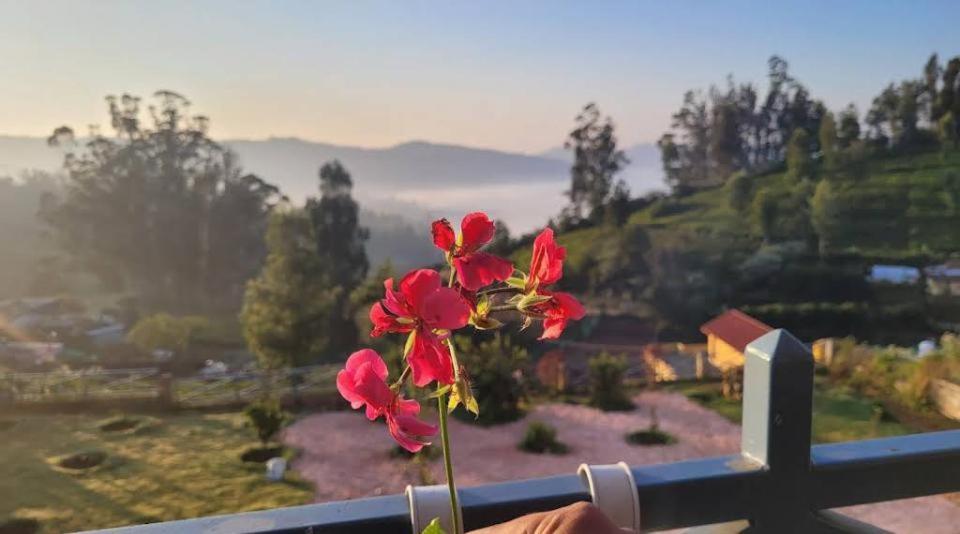 Orchard Valley View Homestay Ooty