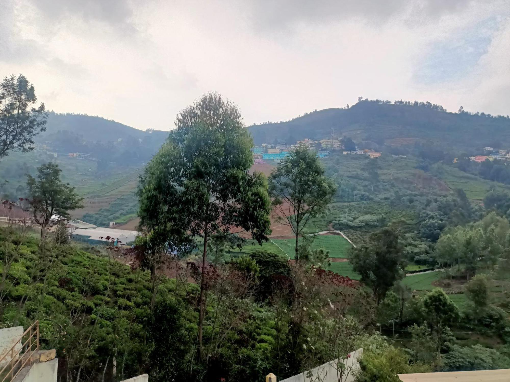 Wander Homes Homestay *