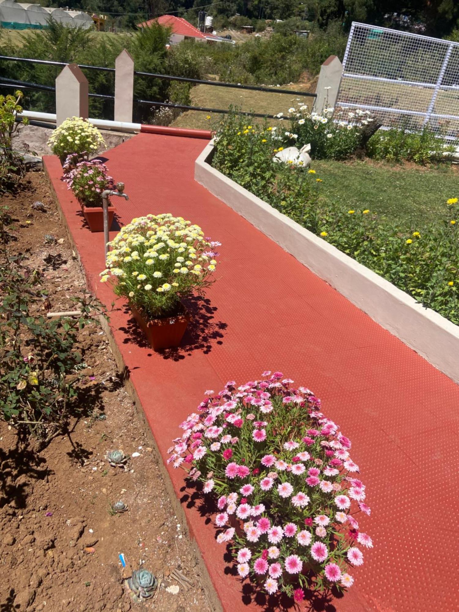 Villa Rosewood 1 *