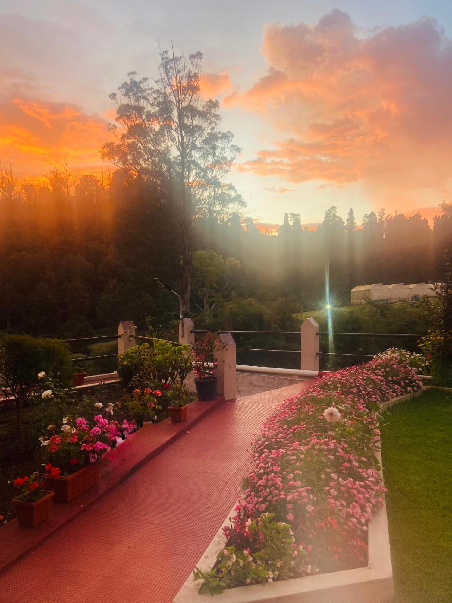 Villa Rosewood 1 Ooty