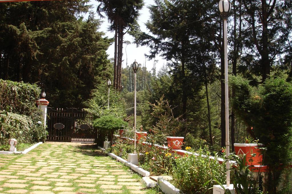 The Red House