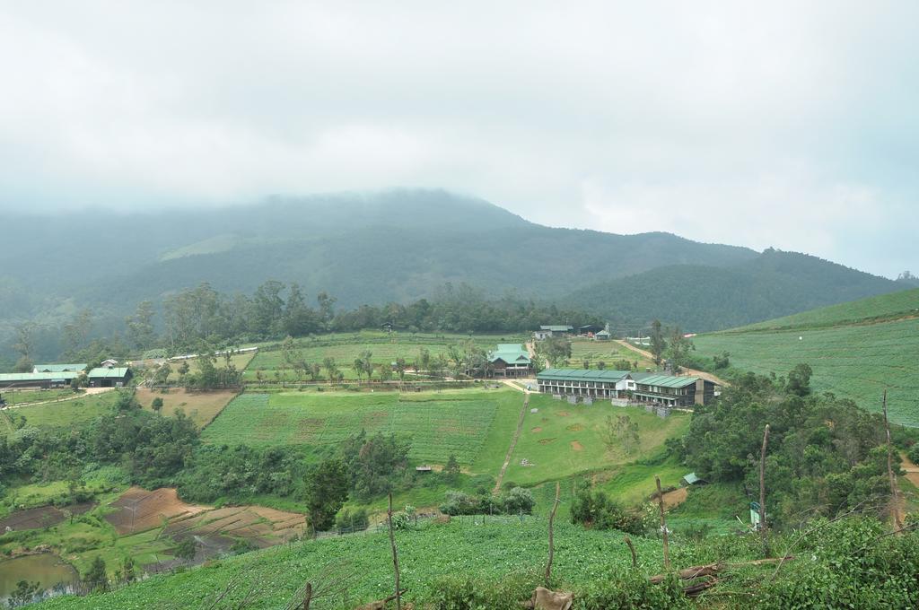 Farm stay Destiny - The Farm *