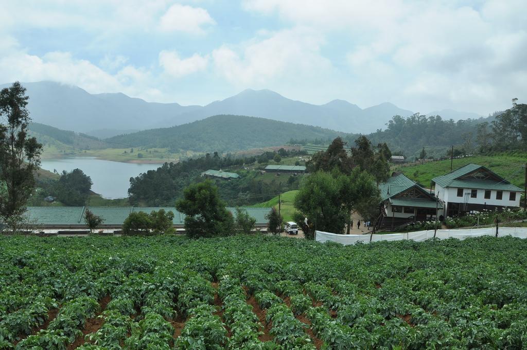 Destiny - The Farm Ooty
