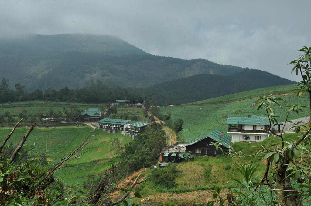 Farm stay Destiny - The Farm *