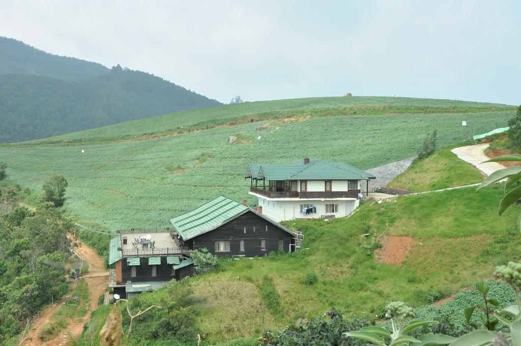 Farm stay Destiny - The Farm
