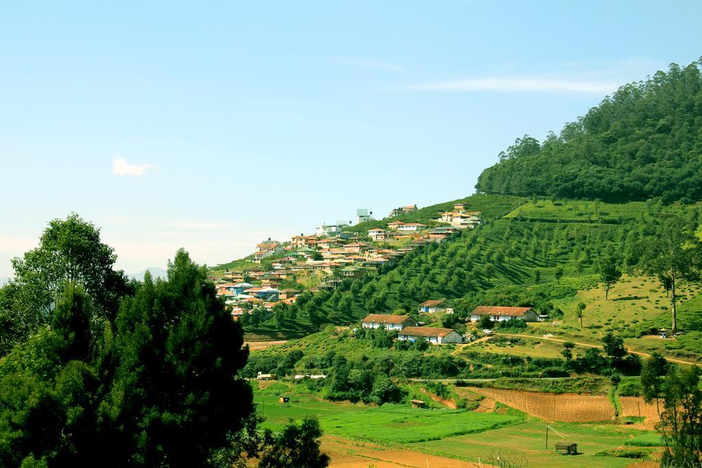 Homestay The Black Magic *