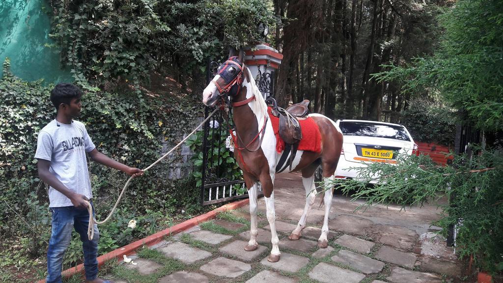 Bed & Breakfast The Red House Ooty