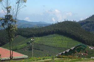 Hotel Doddabetta Ooty