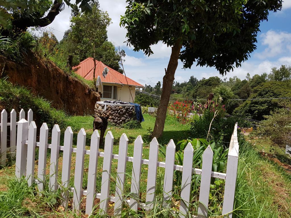 The Great Escape Homestay