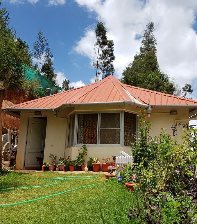 Homestay The Great Escape