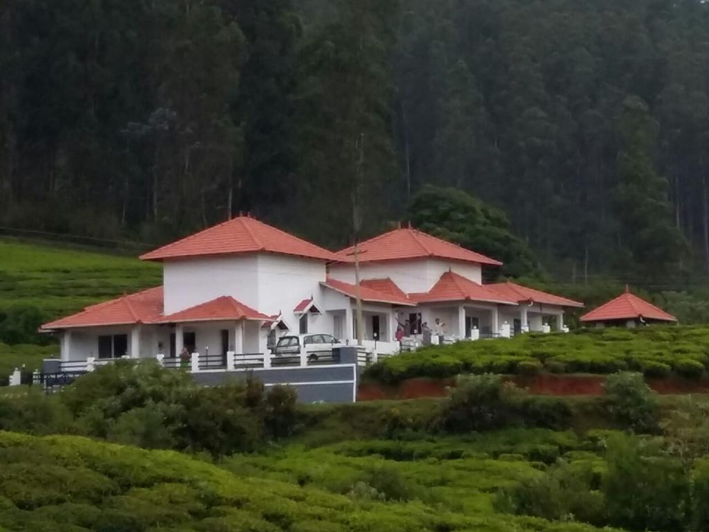 Green Leaves The Countryside Ooty