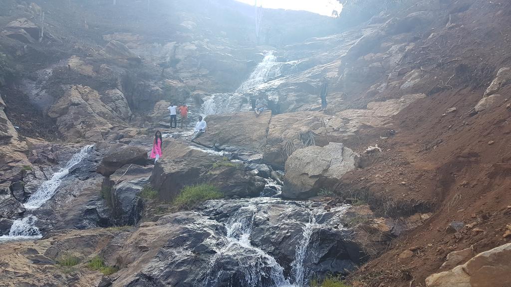 Cascademeadows -falls View