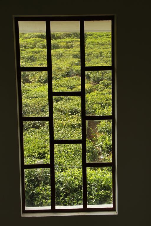 Lmf Paradise Ooty